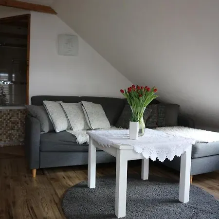 Gosciniec , Z Sauna I Jacuzzi * Щирк