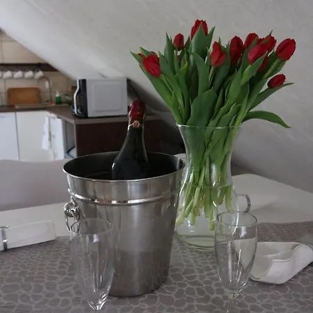 Gosciniec , Z Sauna I Jacuzzi